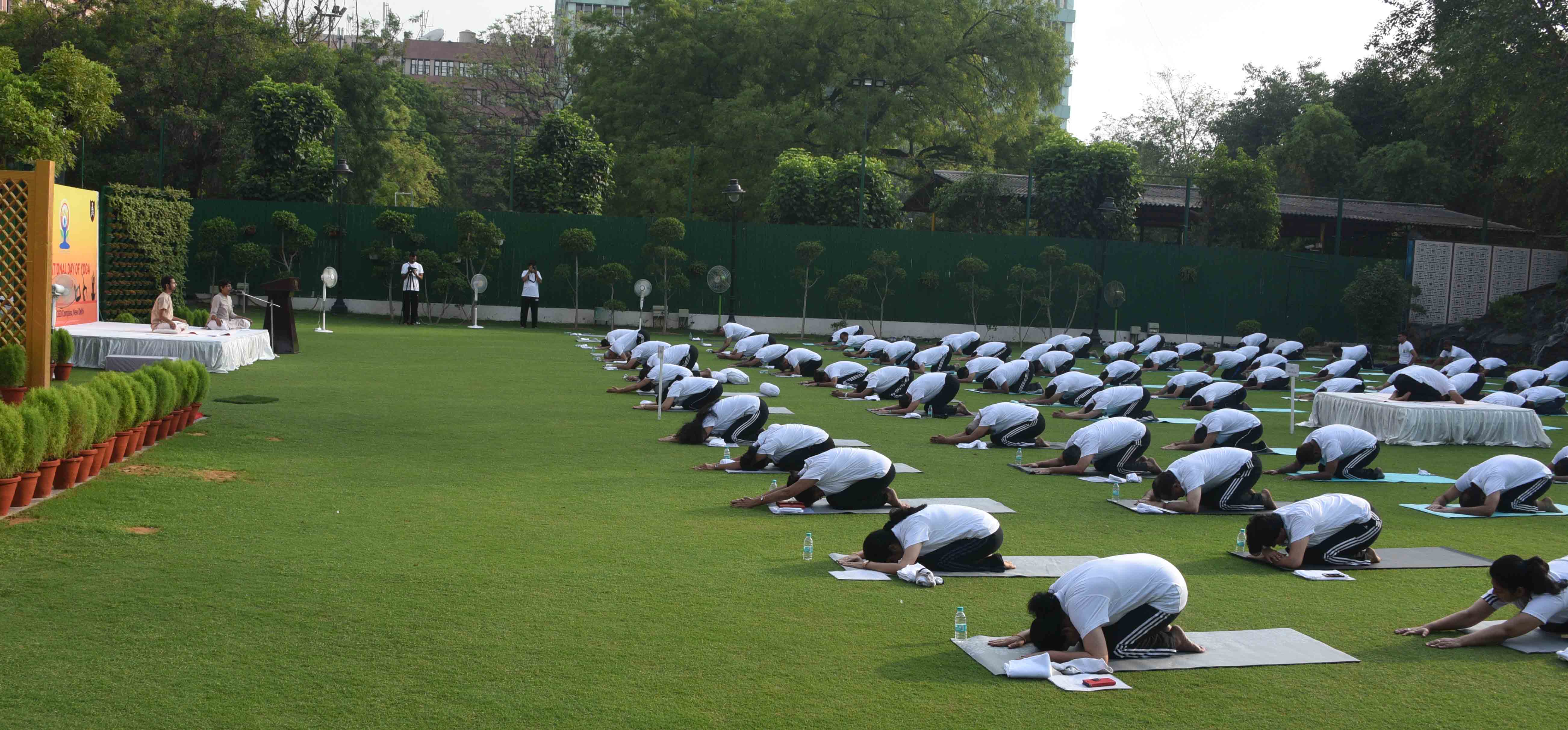 yoga day-long distance view 5